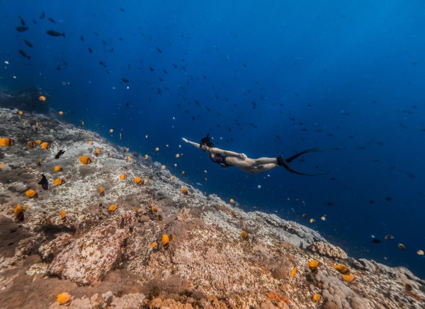 mabini freediving