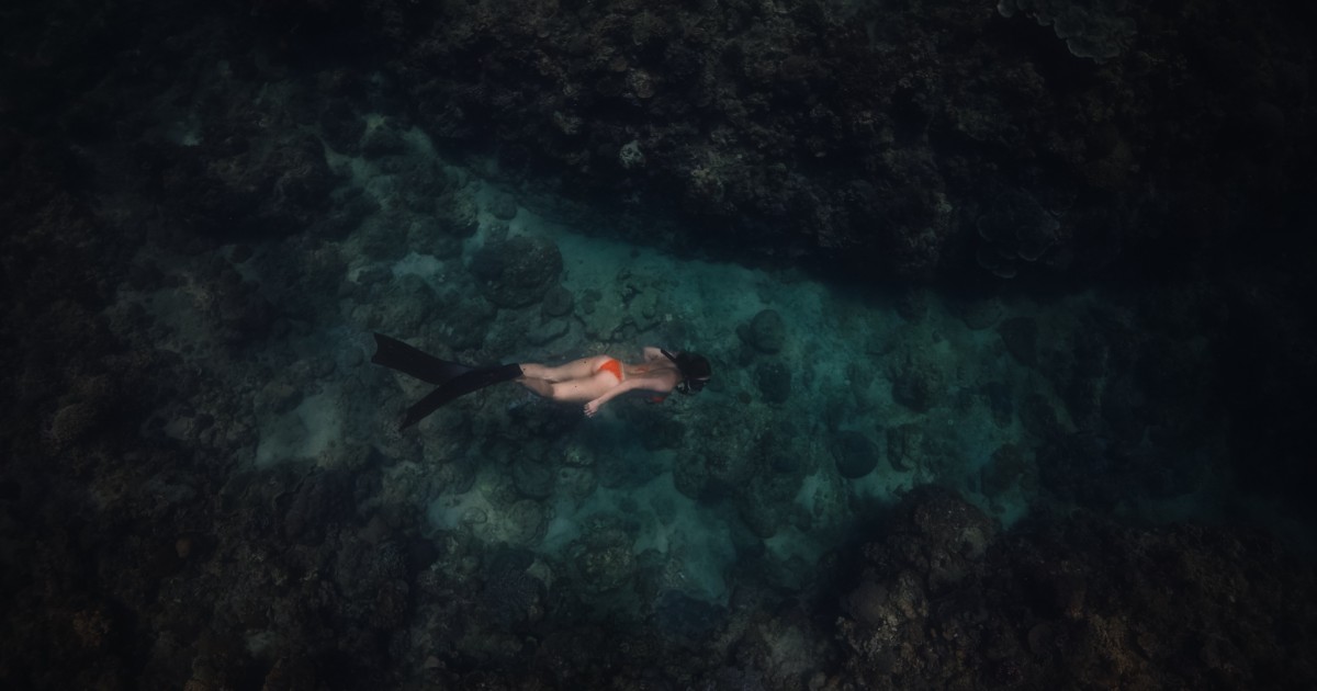 How much freediving costs in the Philippines